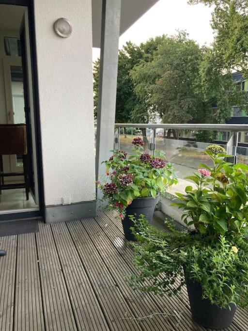 Ferienwohnung In Der Naehe Von Koeln Frechen Exterior photo